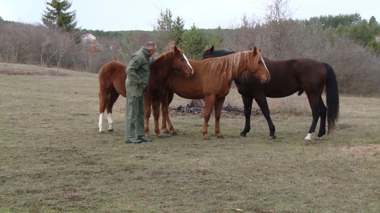 1639329177 branko 750x422 1