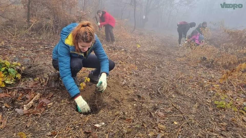 27856AE9 DC39 4EE4 BA93 ED3D18E21F74