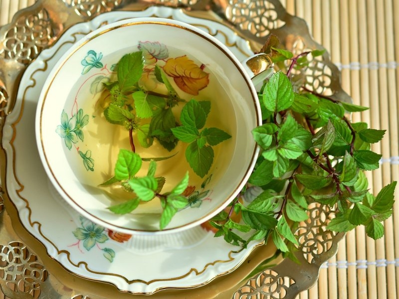 3d4f72dcd55f12e9a2f7bd87484fe839 jpg pagespeed ce 1dDpzJyK7r