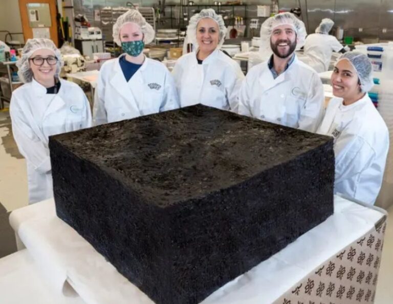 Postavili svjetski rekord: Ispekli džinovski kolač od kanabisa, prodavat će komade