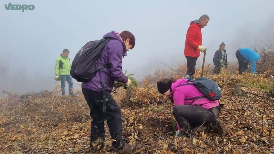 B93469D4 8D17 4FDD 9BFF 3A95D741B30B