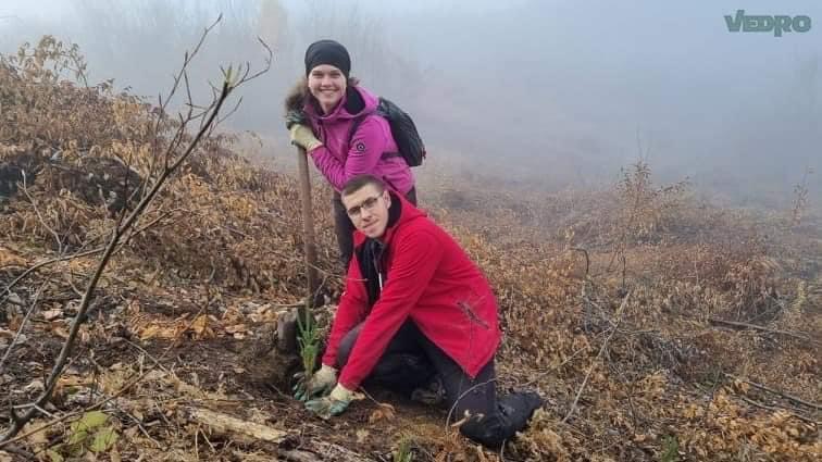 DCB27EEF A5F5 48A4 A922 077FA4DB4382