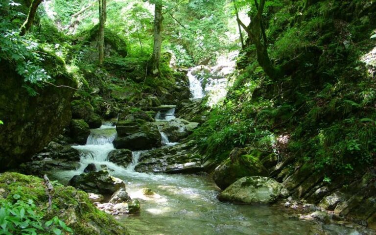 Ekološki aktivisti sve češće izloženi pritiscima i prijetnjama