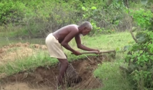 laungini bujian 696x413 1