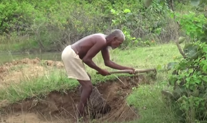 laungini bujian 696x413 1