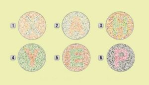 test licnosti slova atmahr