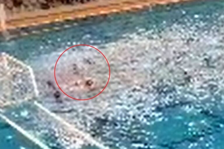 Haos u bazenu: Potukle se hrvatske i srbijanske vaterpolistice