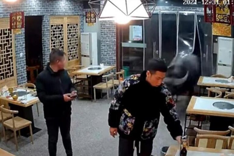 Bivol ušao u restoran, napao gosta i napravio haos