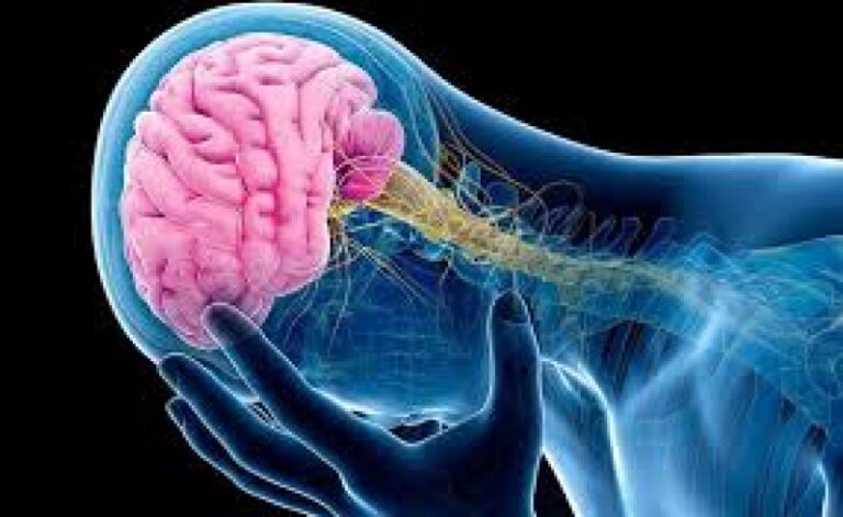 Znate li kako se mozak čisti od nepotrebnih informacija?