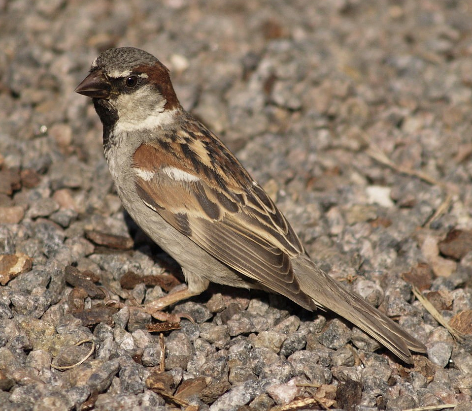 6BBC3CBE 9A3D 4C75 BAB9 6BD689387F89