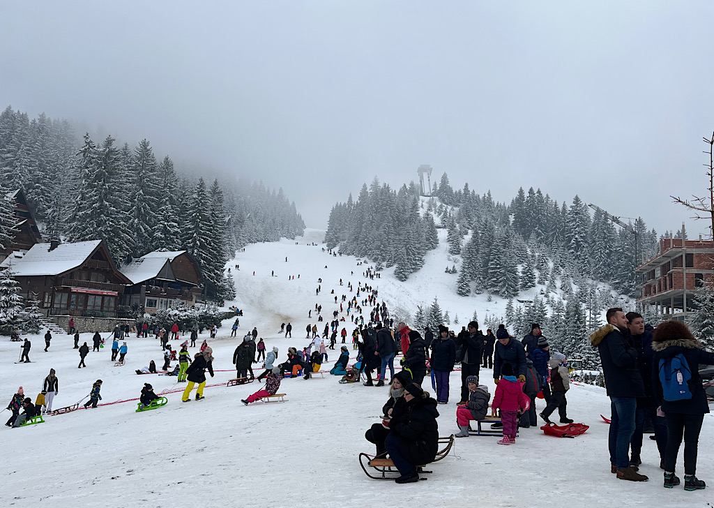 8F088C6E 5182 41E3 914C 7925E999C6C3