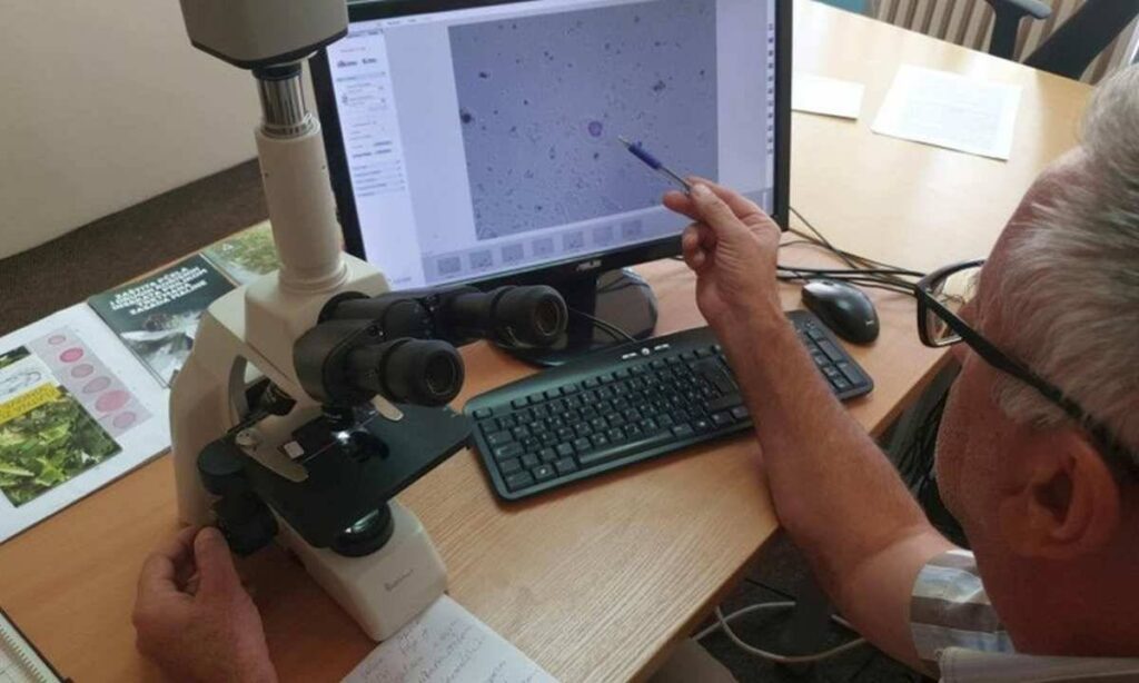 ACB894EB CE63 4393 A91B C607732DC7D6