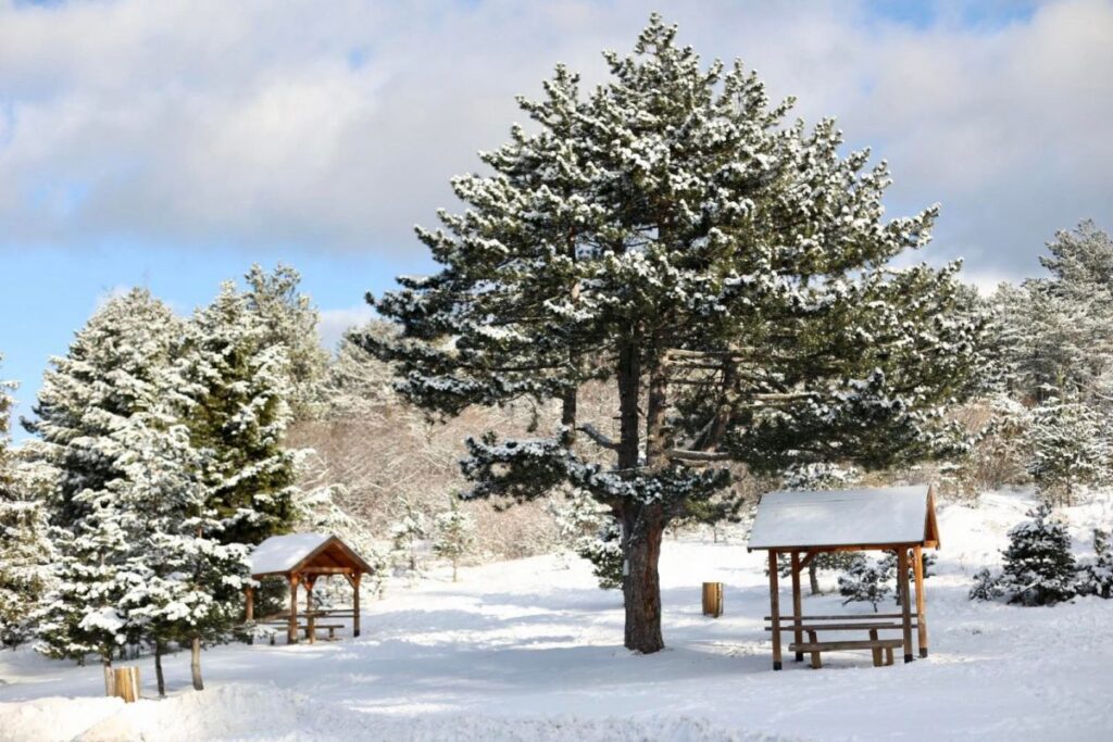 B2CFF19E 8254 4262 9CC0 29D9C2D85FA9