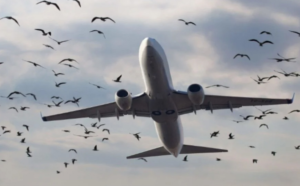 D4F53C12 E787 410C 8540 0F8CCC6EBDF3