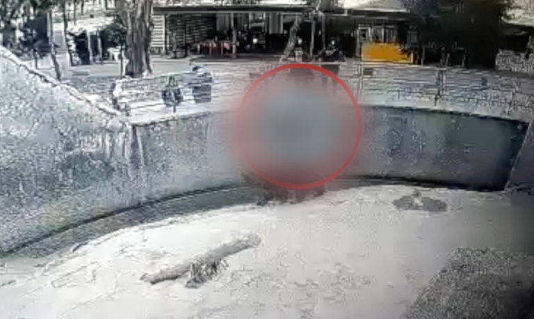 Uznemirujuće: Majka bacila trogodišnju kćerkicu u kavez s medvjedima