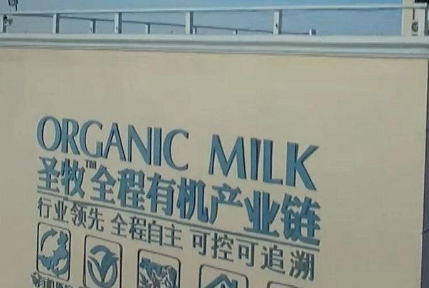 Usred jedne od najvećih kineskih pustinja napravljena je impresivna farma organskog mlijeka