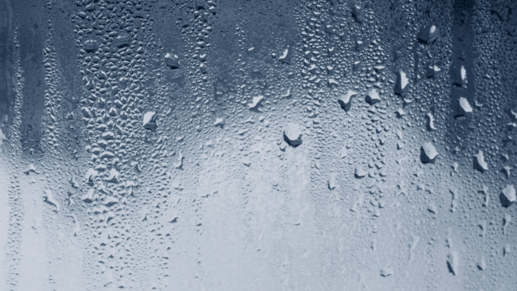 1643922853 Dizajn bez naslova 48 750x422 1