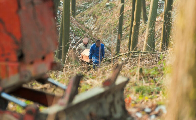Stablo palo na drvosječu u BiH, preminuo uslijed teških povreda