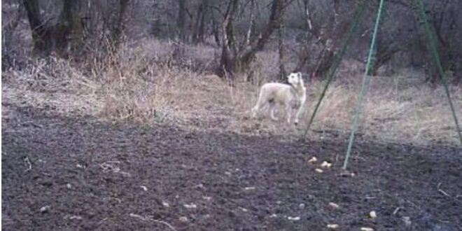 4742AB34 C138 4EF6 A8F7 FD074DE5C79A