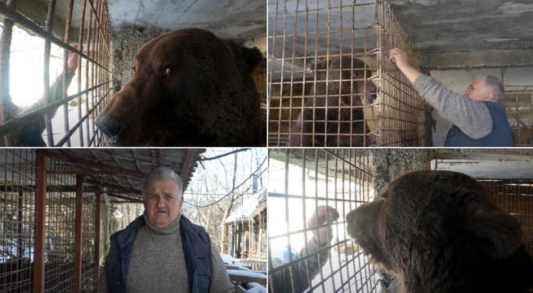 Medvjedi Emina Ljutića ne znaju za zimski san: Jedu svaki dan koliko hoće, penzija mi ode na njih