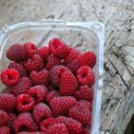 plasticna kutija voce maline pb feb1