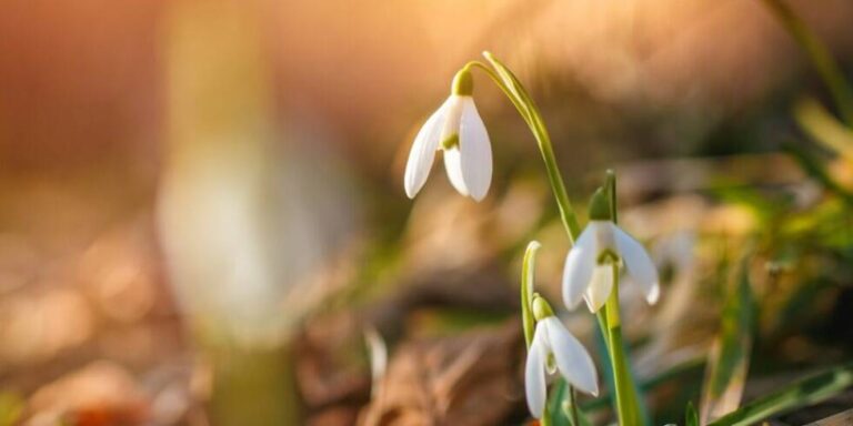 Danas nastupa proljeće
