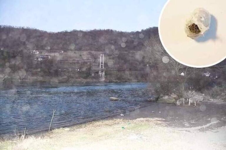 SLUČAJ U BIH: Policajac skočio u Drinu za paketićem marihuane koju je osumnjičenik bacio