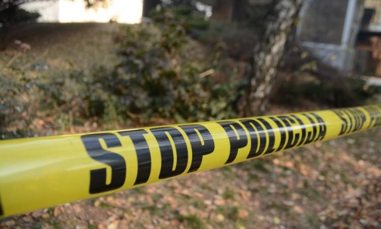 B7DF5FF9 D696 4299 81A5 7C4925FF4612