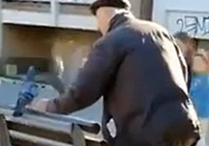 dedica golubovi 696x487 1