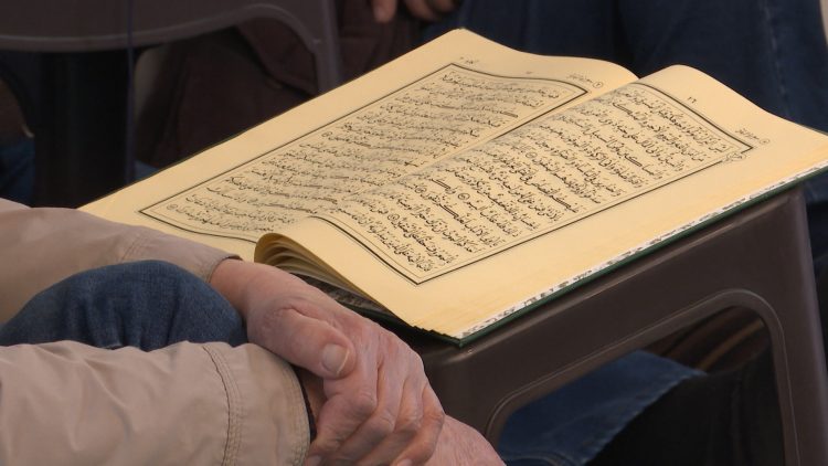 1648913585 kurna un slika 750x422 1