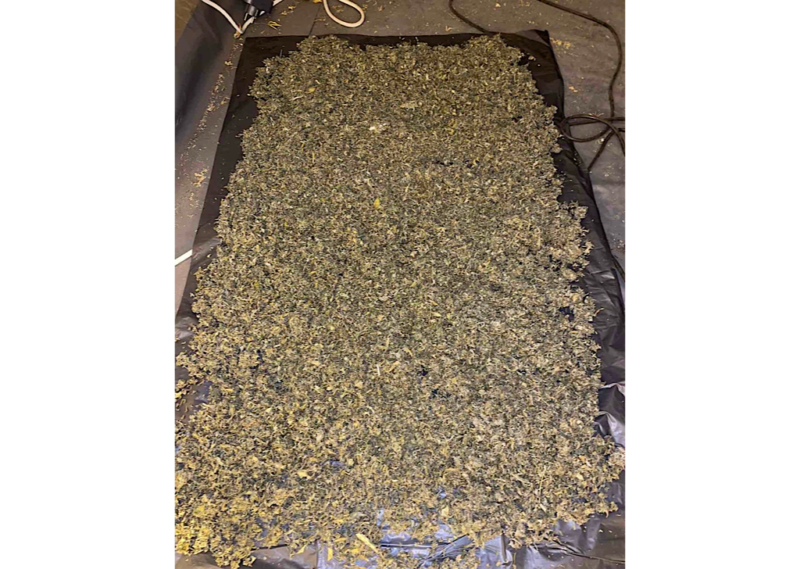 2F1DA9CB F27E 4878 9422 4300E9ABB267