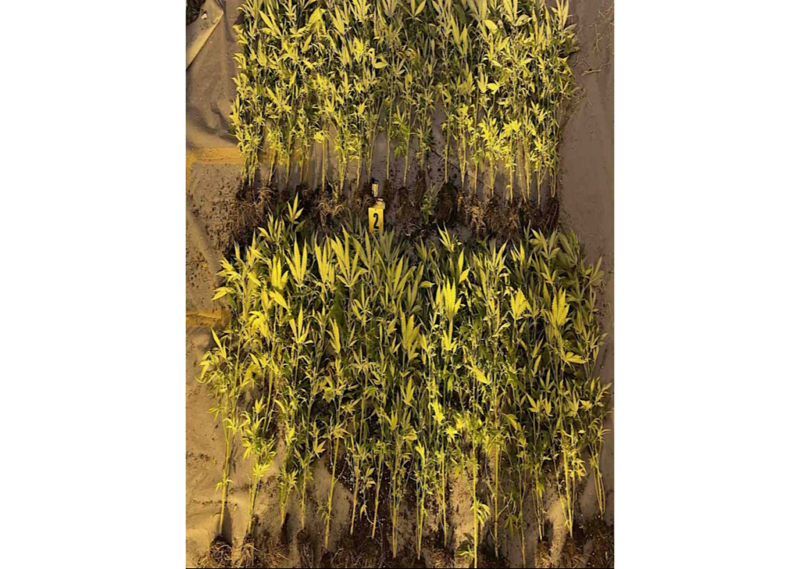 69682DC4 6B55 4917 8190 8DA1DF869F93