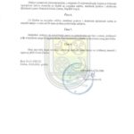 909B1106 3C62 4ACE B03B 8DBDE5FFDC28