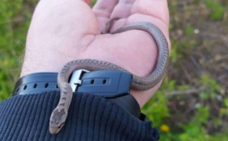 A5D92A4F B495 4061 8097 C9C157E5D811