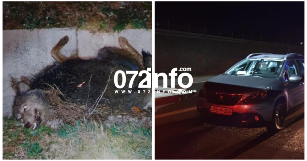 DD3E92BA E180 454B 864E 0FF99C995B28