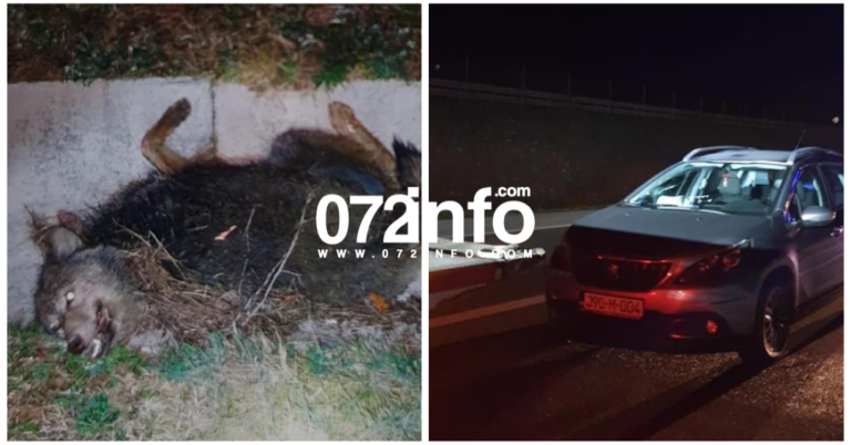 NESREĆA KOD ZENICE: Automobil udario vuka