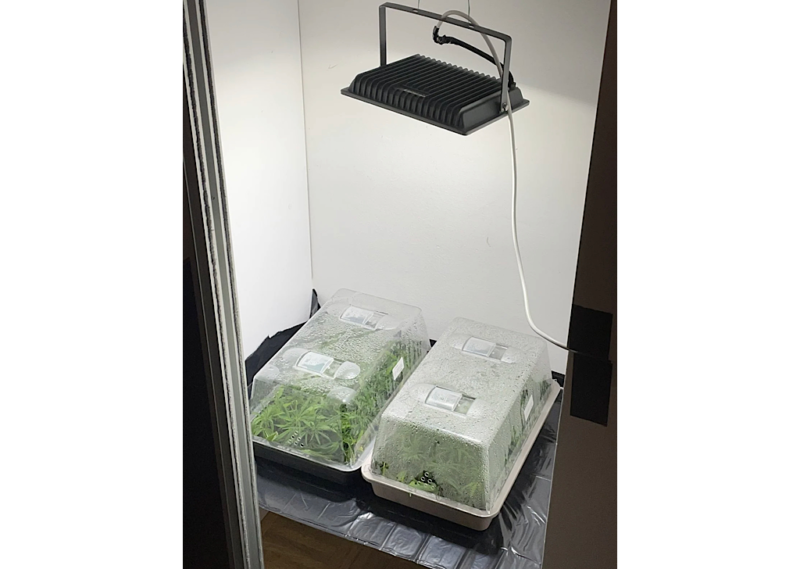 F8167F56 DD91 4490 A900 9D70D6D1A33B