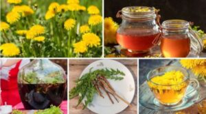 a03f15bbb1fd88f529ea8b2ddd0e354c