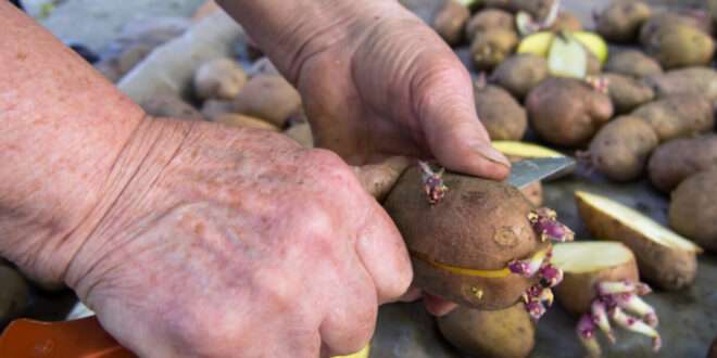 depositphotos 263771156 l 2015 880x495 1 660x330 1