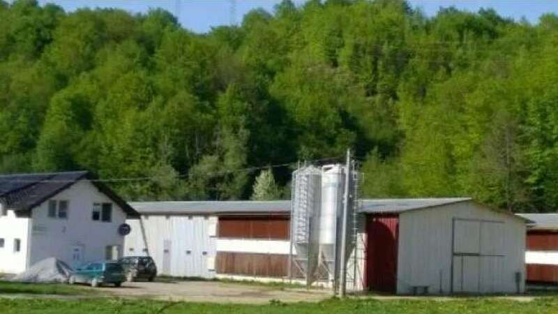 ec728426036e2b3bef98b88d4f4405d8