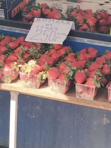 jagode srbija cijena