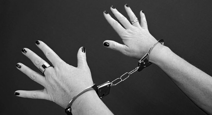 lisice hapsenje pixabay ilustracija