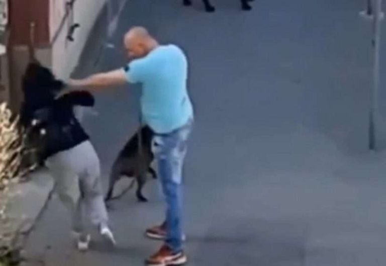 Oglasio se nasilnik koji je udarao ženu i psa: “Nisam namjerno”