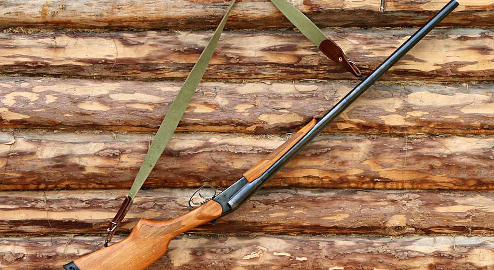 puska lov pixabay ilustracija