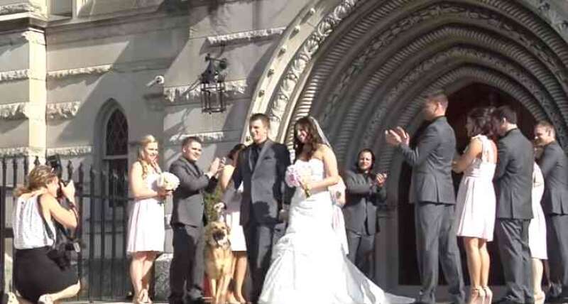 2eae7a9c19b8a4f12370bb3cbba5282c