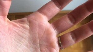 C31ACF1F A9B0 42E7 91B0 F48F009700E8 690x389 1