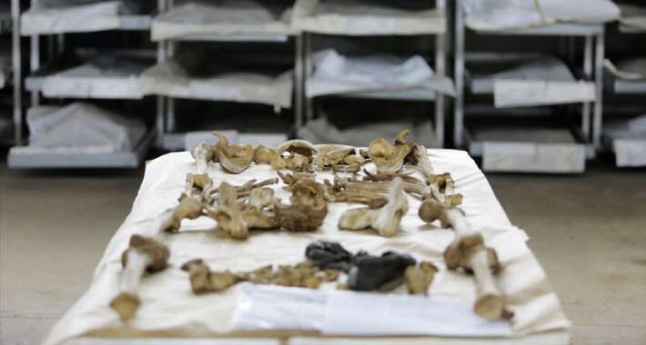 Identifikacija institut za nestale osobe bih 1