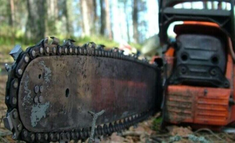 Stravičan zločin: Žena isjekla muža motornom pilom