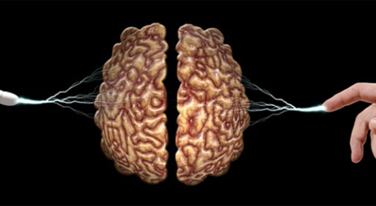 Ova osobina je zajednička inteligentnim ljudima