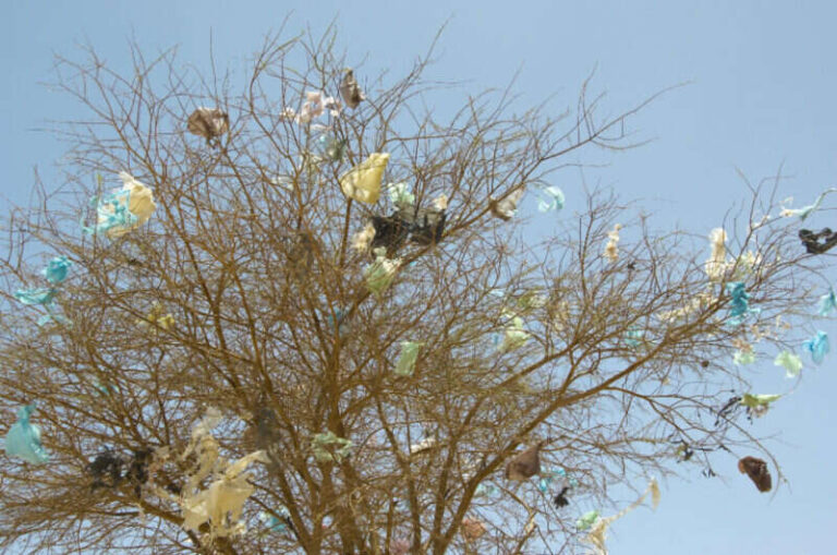 Ostaje li novac u BiH na granama drveća i u koritima rijeka?